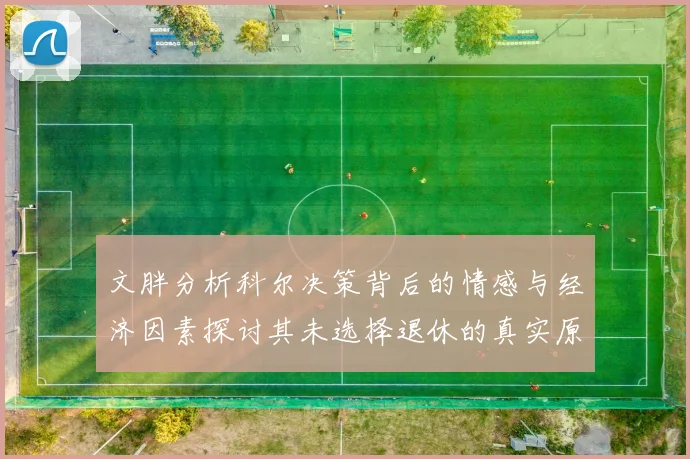 文胖分析科尔决策背后的情感与经济因素探讨其未选择退休的真实原因