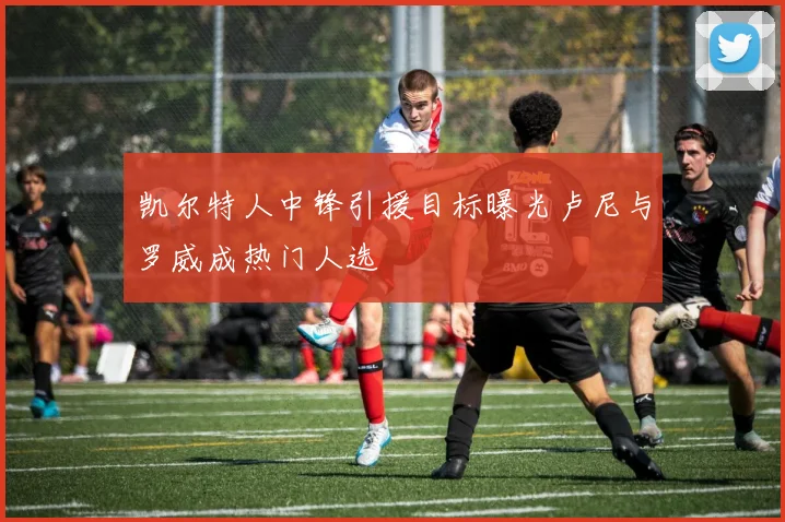 凯尔特人中锋引援目标曝光卢尼与罗威成热门人选